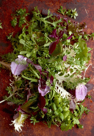 d5743-167-162354-0[1]