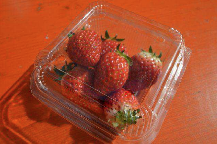 berry3 Gourmet Biz-グルメビズ- berry3
