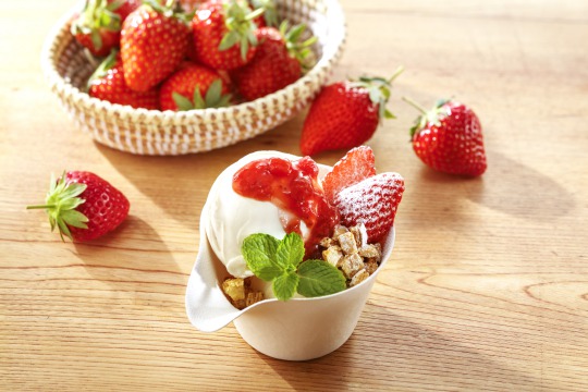 berry Gourmet Biz-グルメビズ-