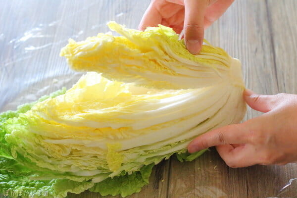 カット白菜の使い切り方法