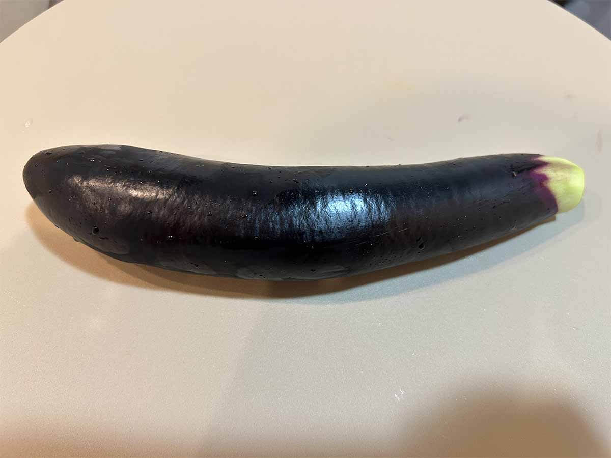 マツコの知らない世界「焼きナスそうめん」