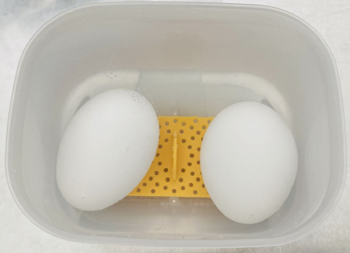 ダイソー「本格温泉たまご器」