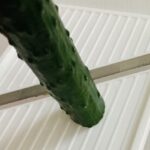 ダイソーマルチスライサー