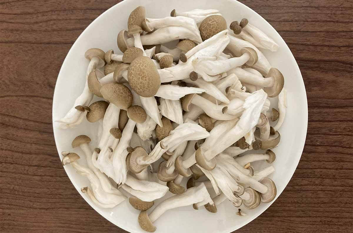 タサン志麻さん「ブロッコリーの肉巻き キノコソース」