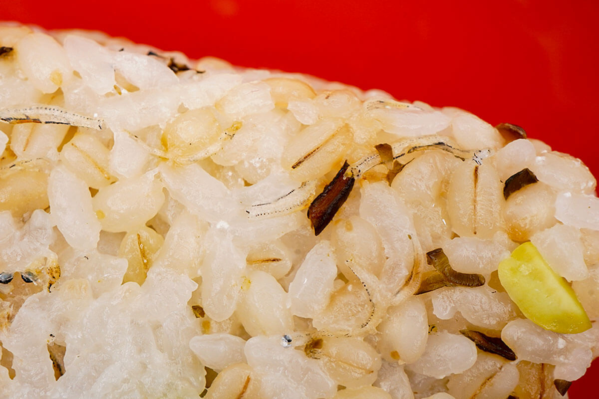 無印良品もち麦ごはんお枝豆塩昆布としらすおにぎり