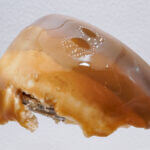 セブンイレブン限定「ハーゲンダッツスペシャリテジャポネ和紅茶バタークリームケーキ」