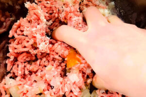 やっぱ、タサン志麻さんすごいわ!「本当に驚いた」「また作りたい」ハンバーグレシピが感動レベル