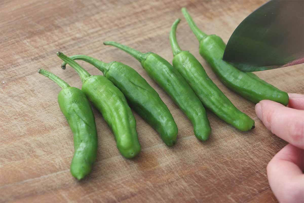 笠原将弘さん「鶏もも肉の照り焼き」