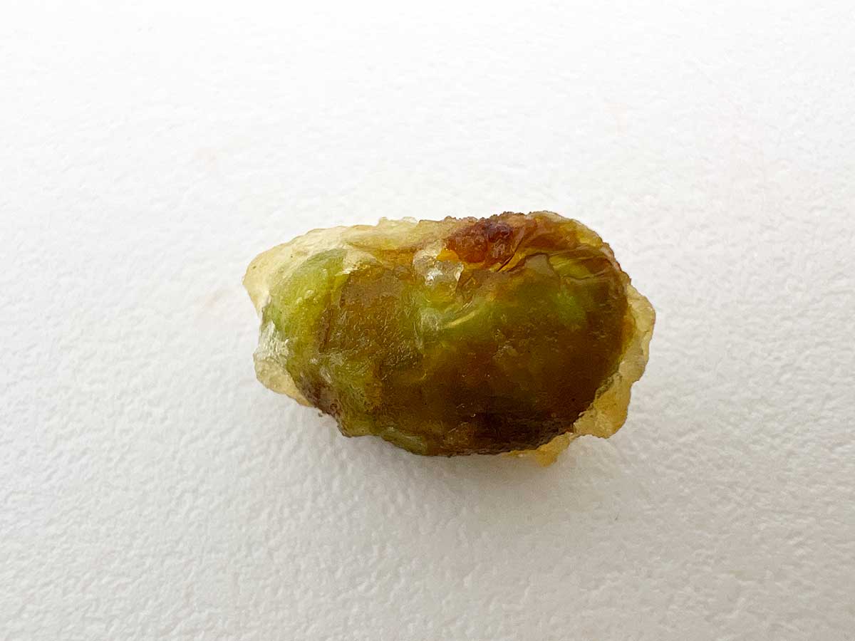 丸亀製麺仙豆風天ぷら