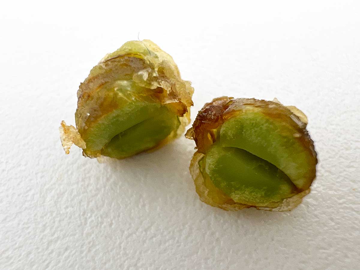 丸亀製麺仙豆風天ぷら