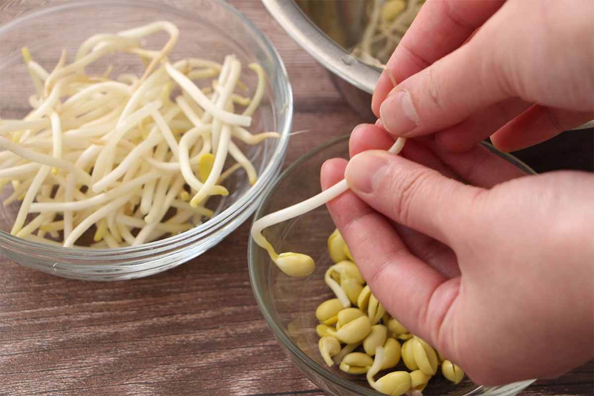 栗原はるみさん「豆もやしの黒酢あんかけ焼きそば」