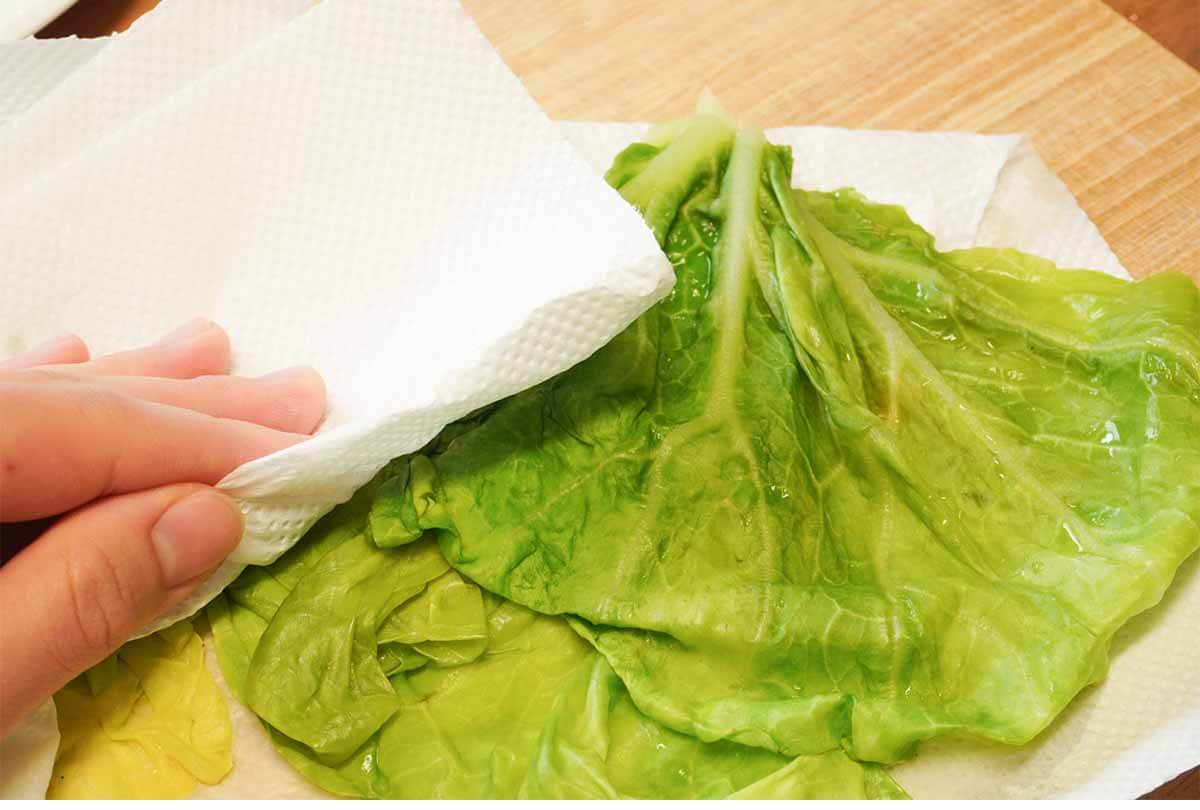 タサン志麻さん「春キャベツと生ハムのミルフィーユサラダ」