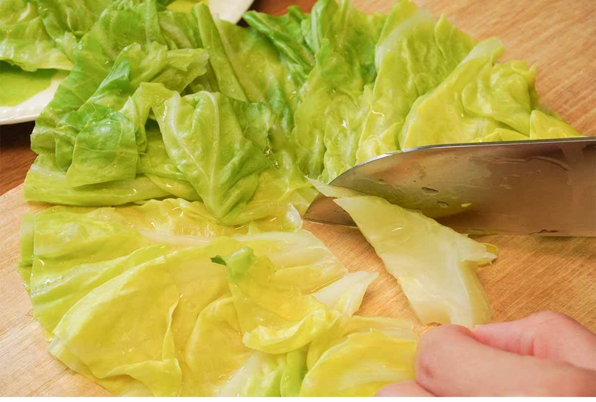 タサン志麻さん「春キャベツと生ハムのミルフィーユサラダ」