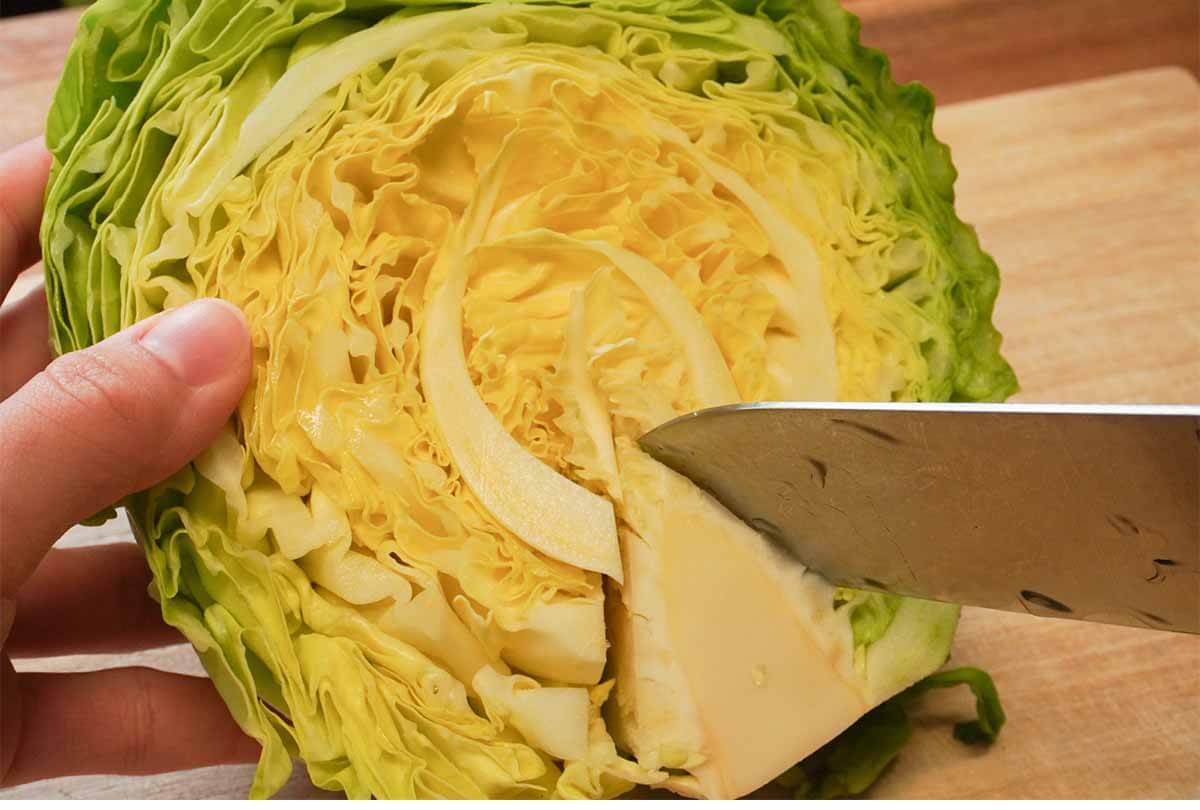 タサン志麻さん「春キャベツと生ハムのミルフィーユサラダ」