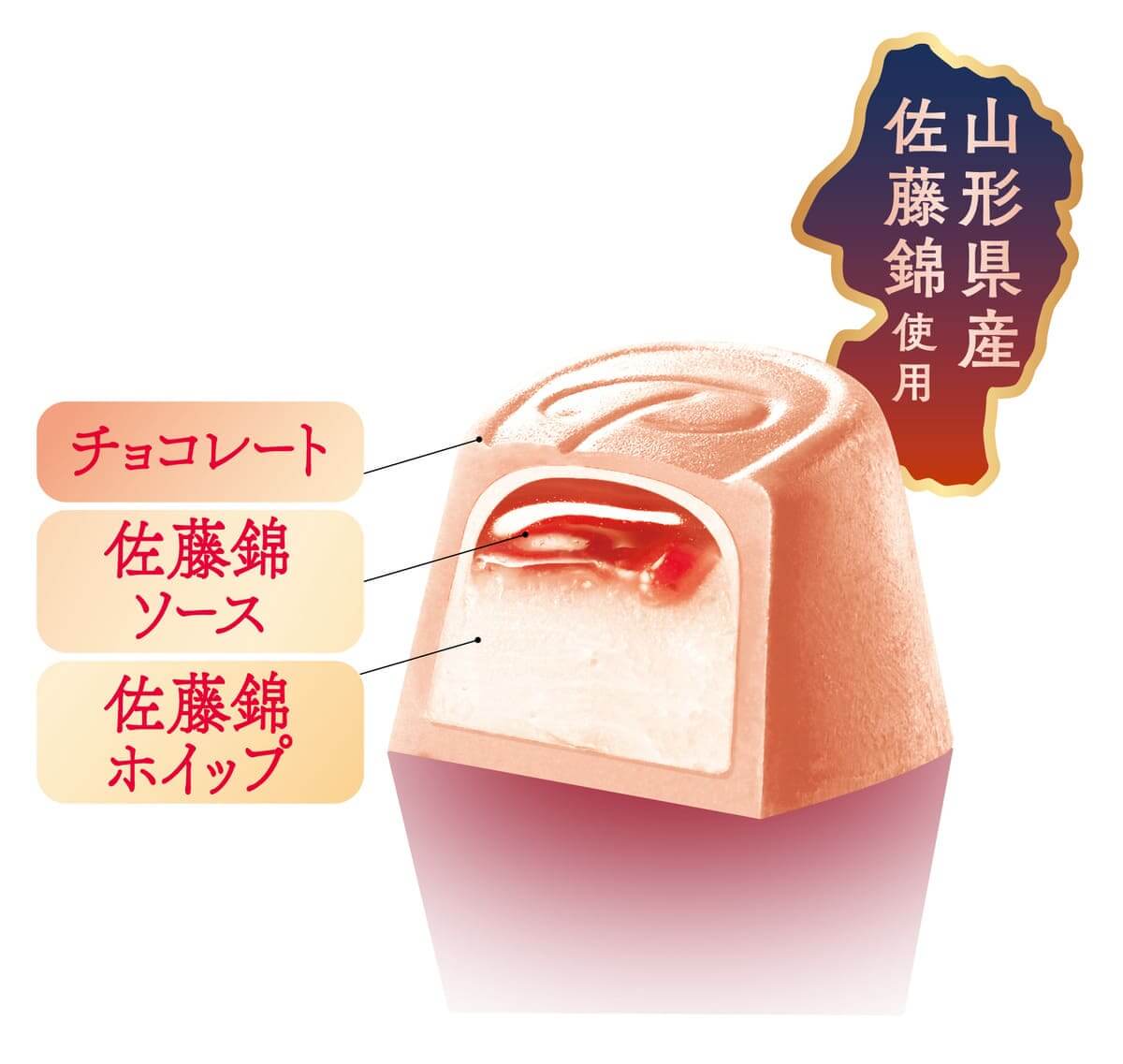プレミアムルック（佐藤錦）パウチ