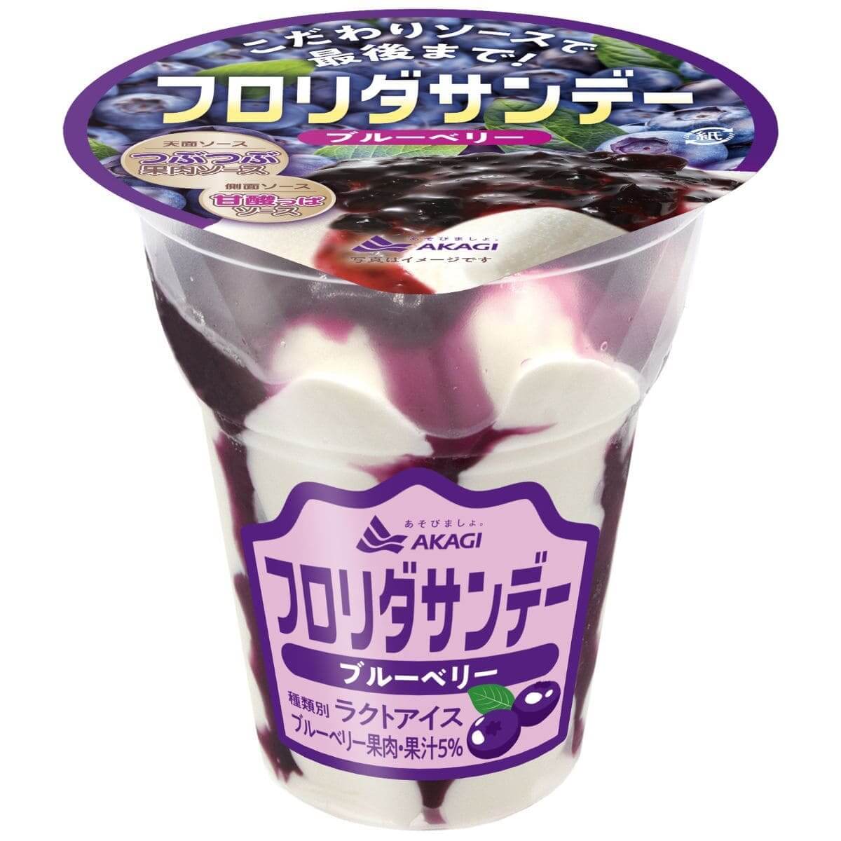 26052842 Gourmet Biz-グルメビズ- フロリダサンデーマンゴー