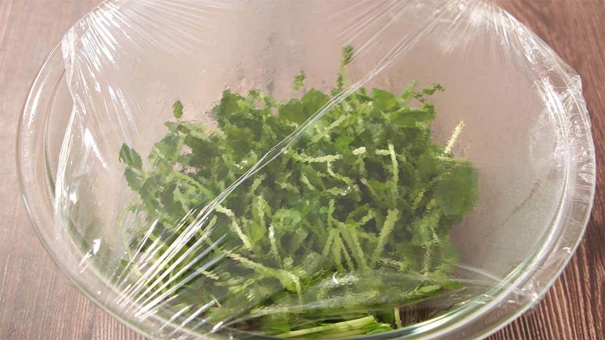 豆苗とツナのユッケ