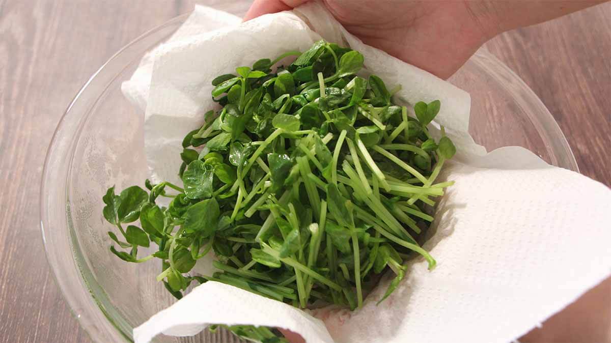 豆苗とツナのユッケ