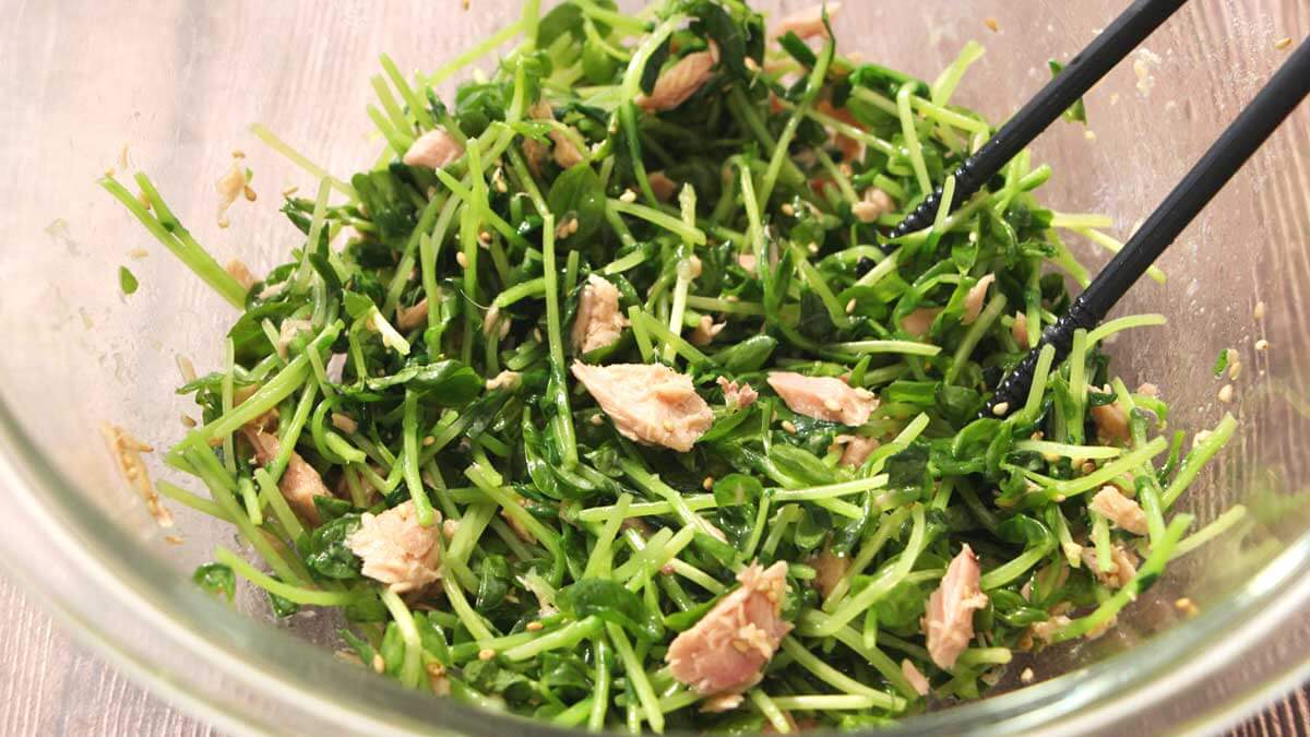 豆苗、バカうまーーー！！！もやしより断然いいわ「夏の時短おつまみ