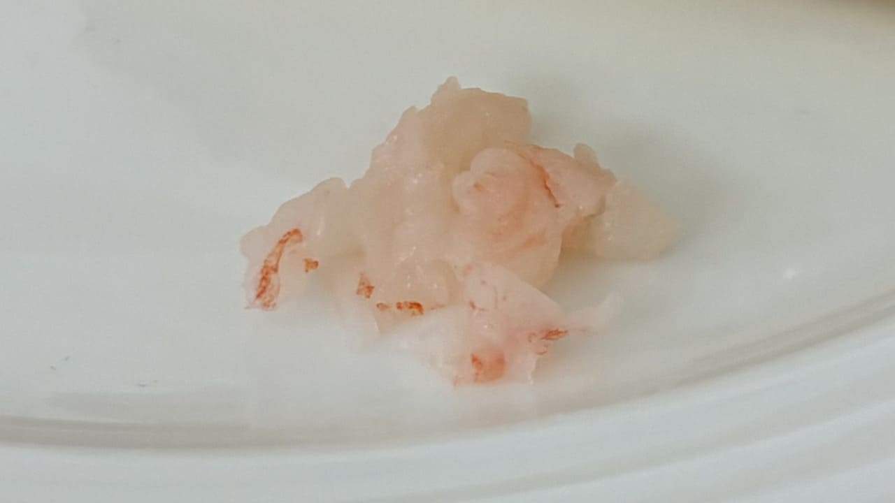 画像15 Gourmet Biz-グルメビズ-