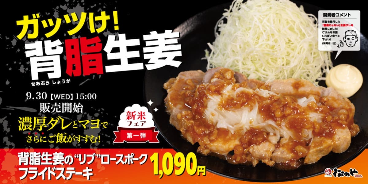26092531 Gourmet Biz-グルメビズ- 背脂生姜タレのポークフライドステーキ定食