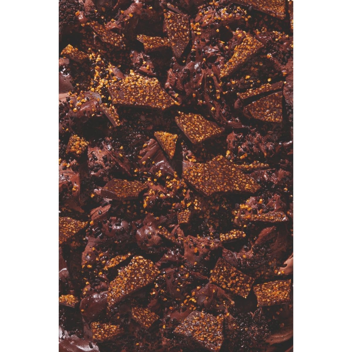 26100942 Gourmet Biz-グルメビズ-